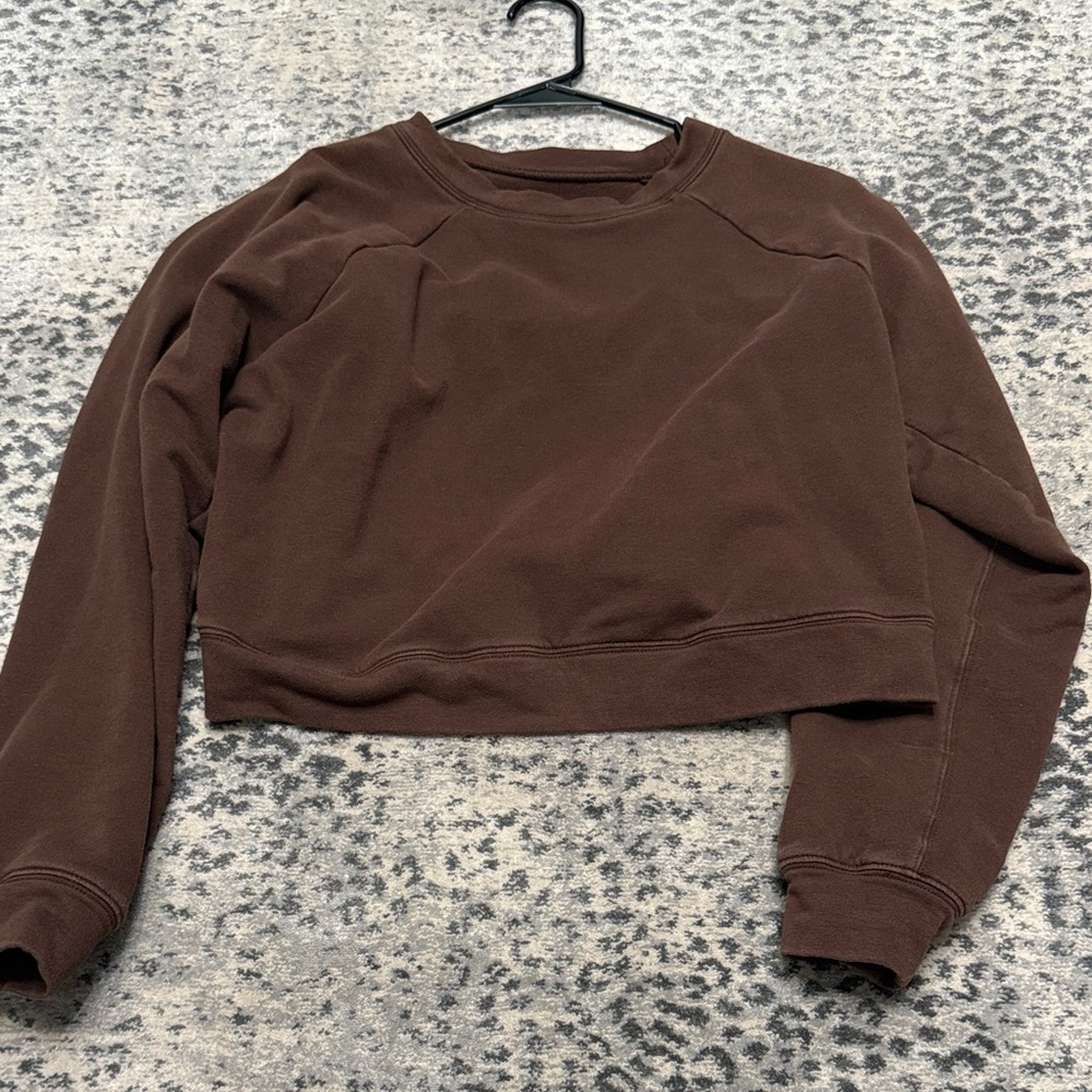 Brown Cropped Sweatshirt